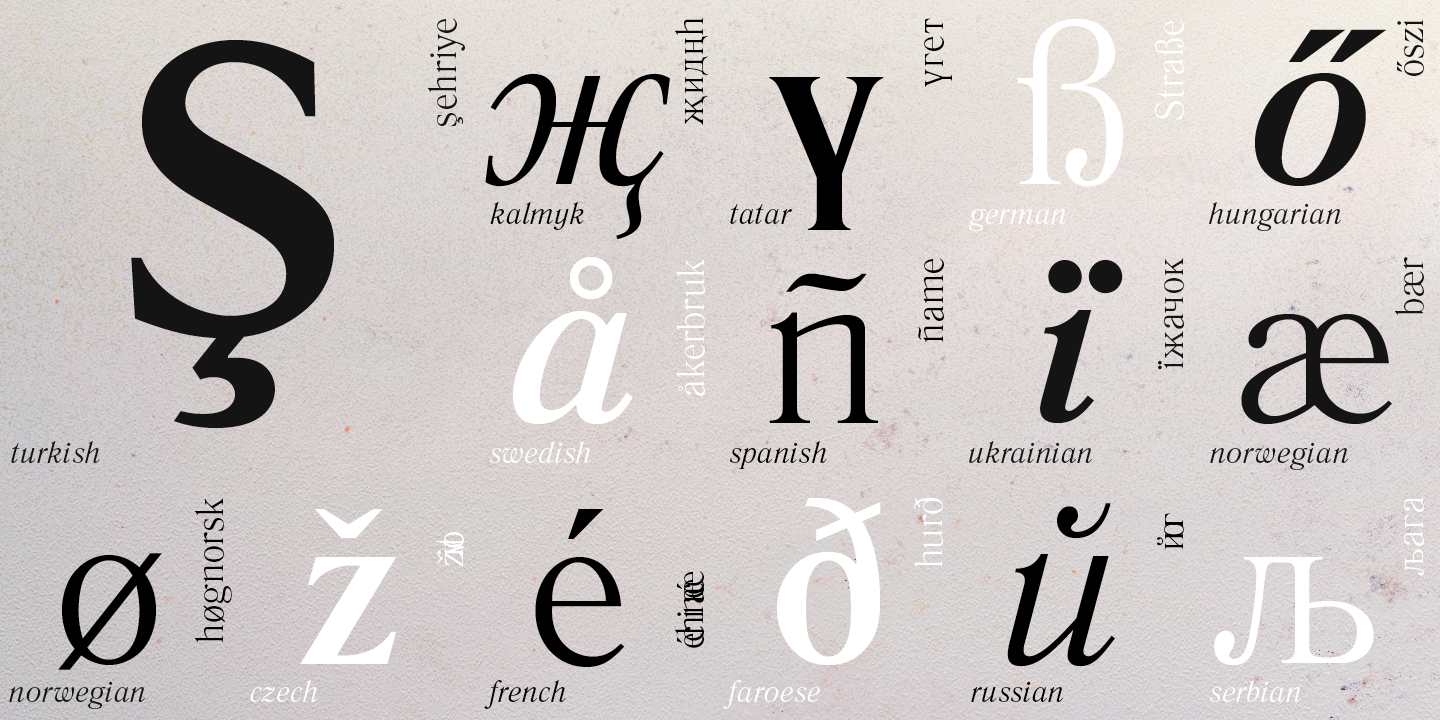 Paratype