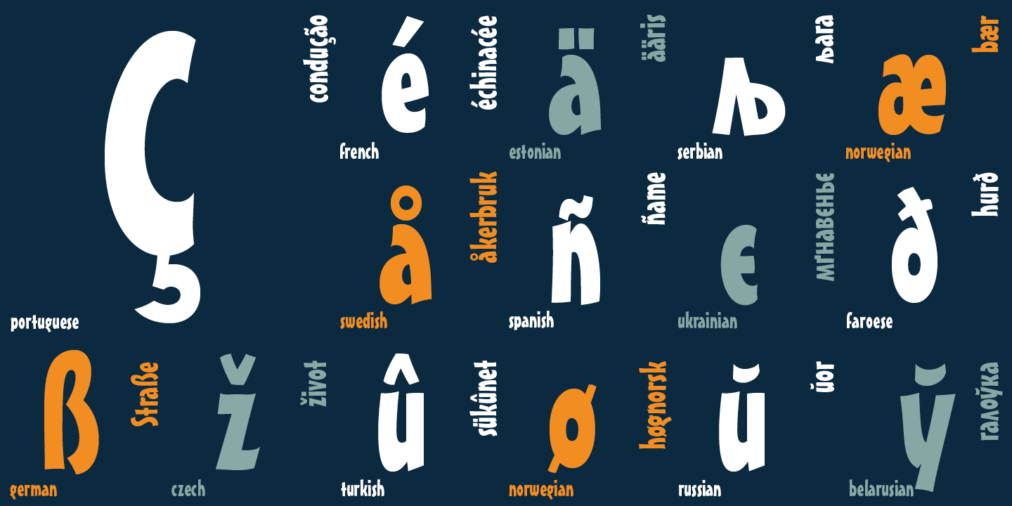 Paratype