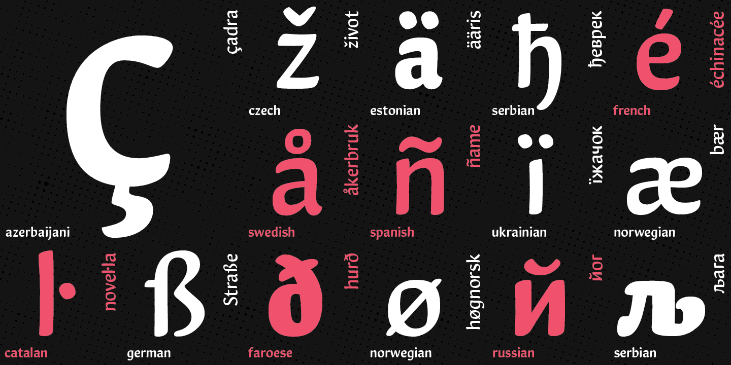 Paratype