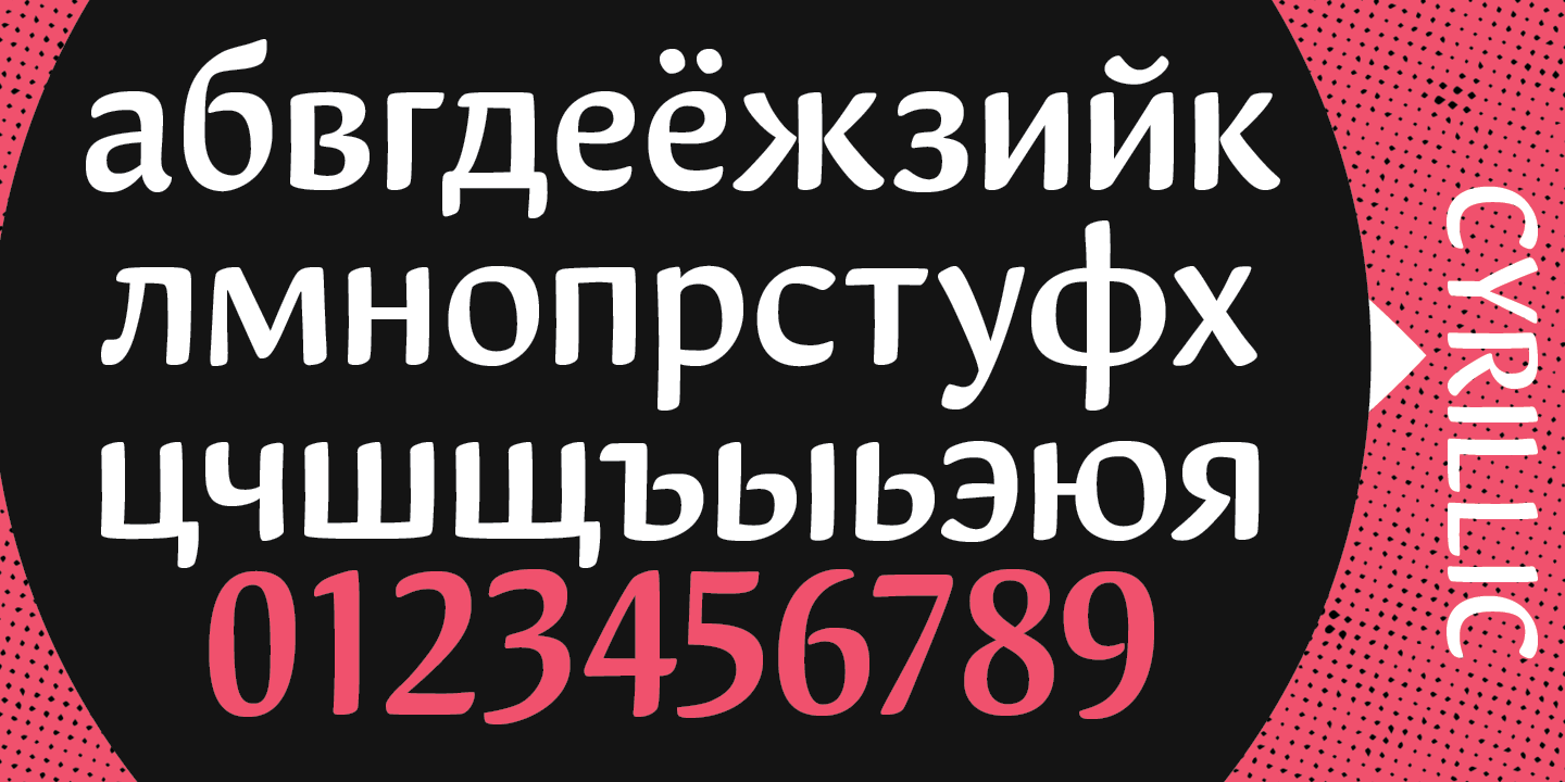 Paratype