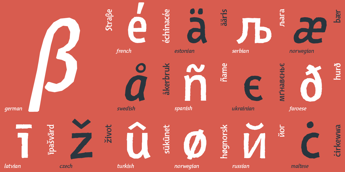Paratype