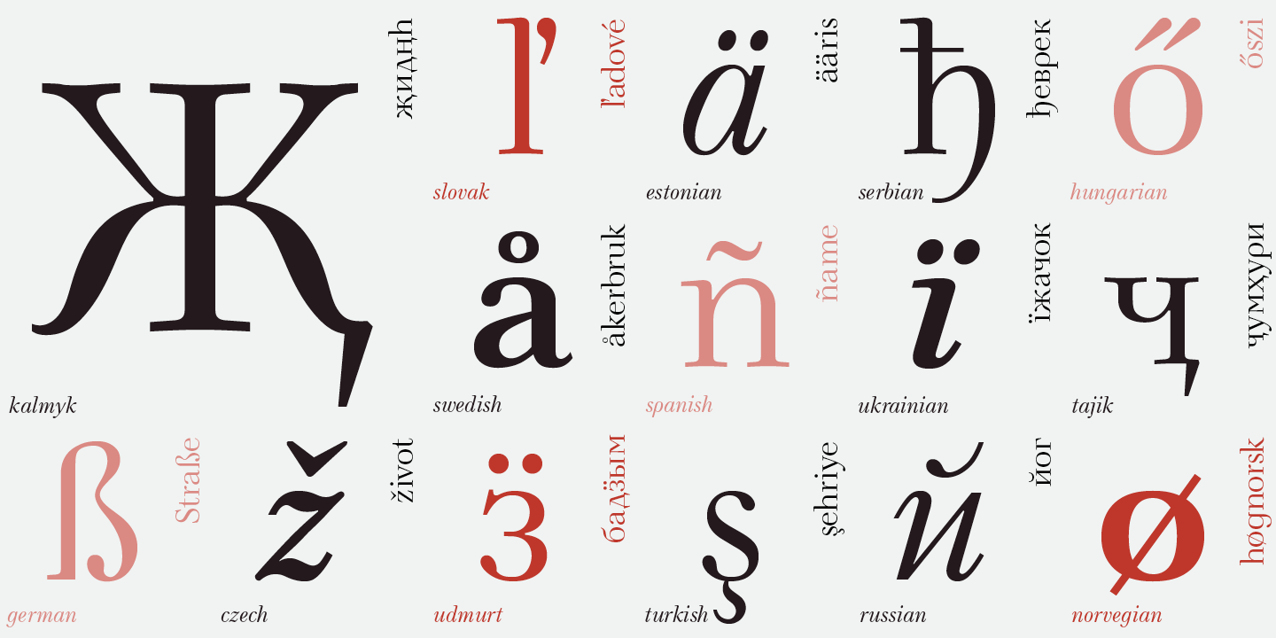 Paratype