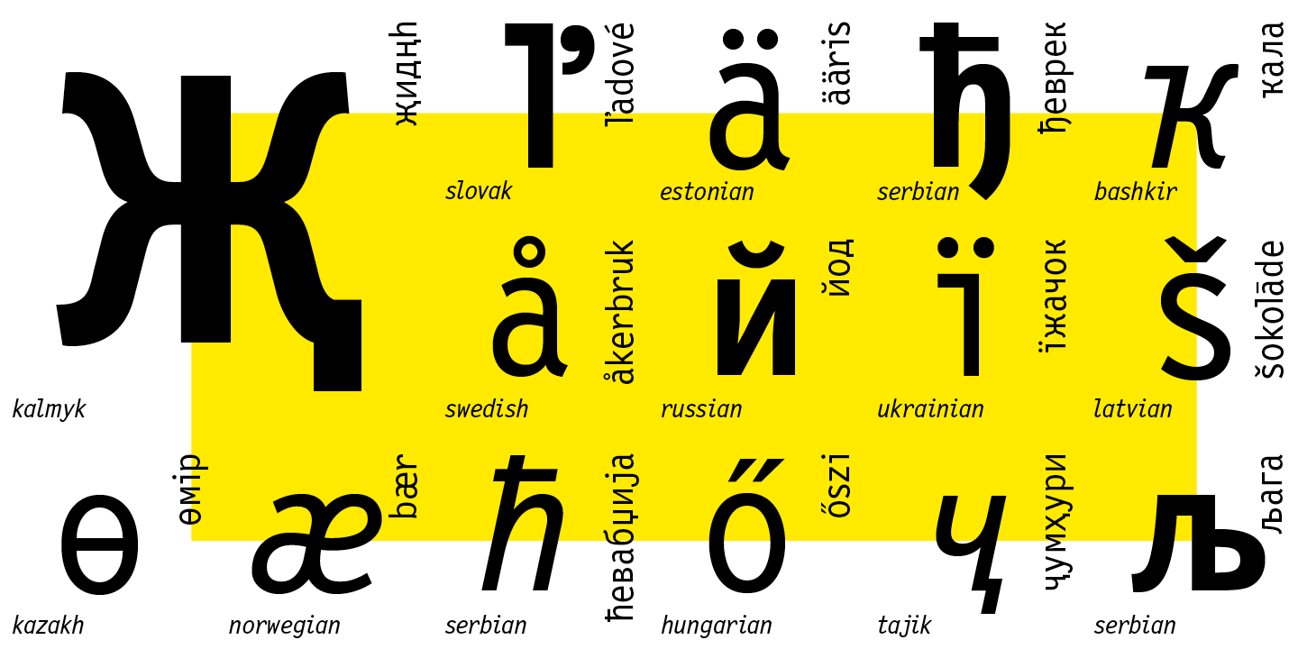 Paratype