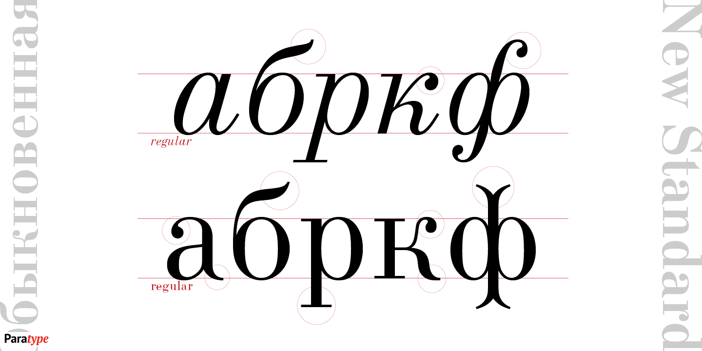Paratype