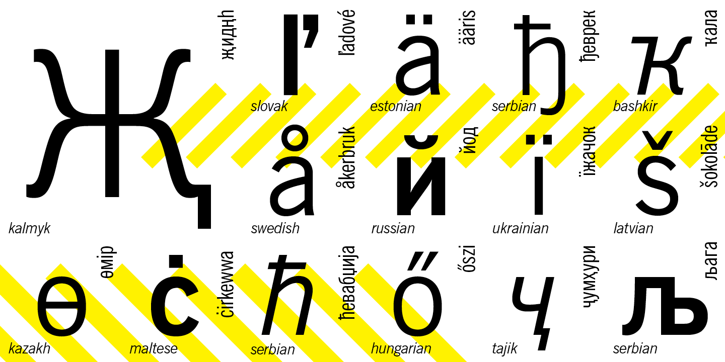 Paratype