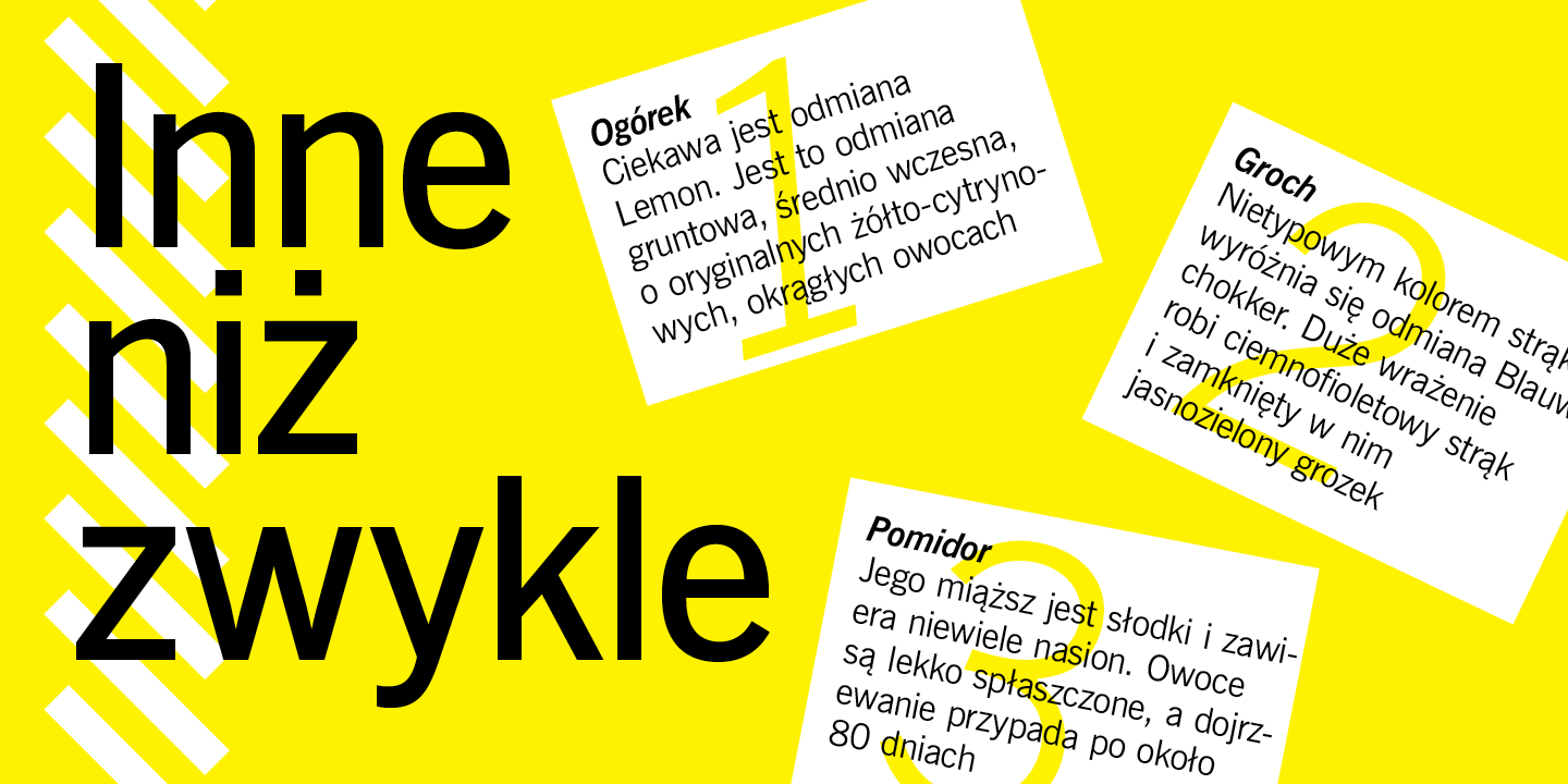 Paratype
