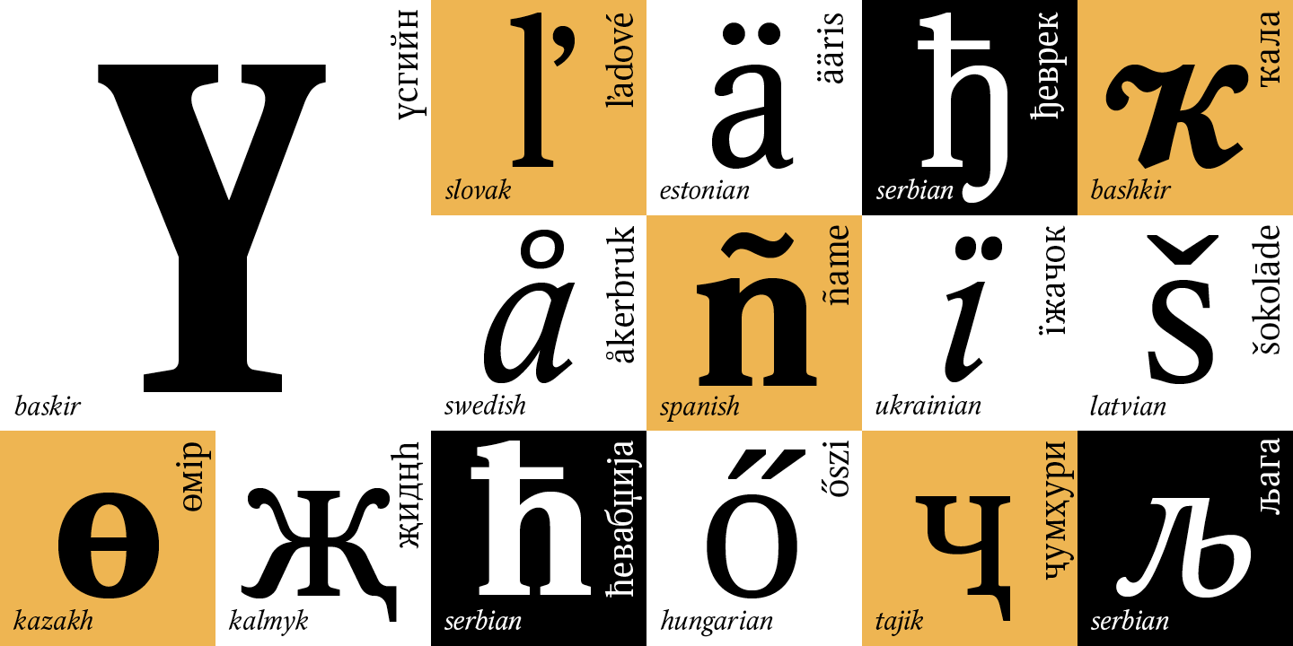 Paratype