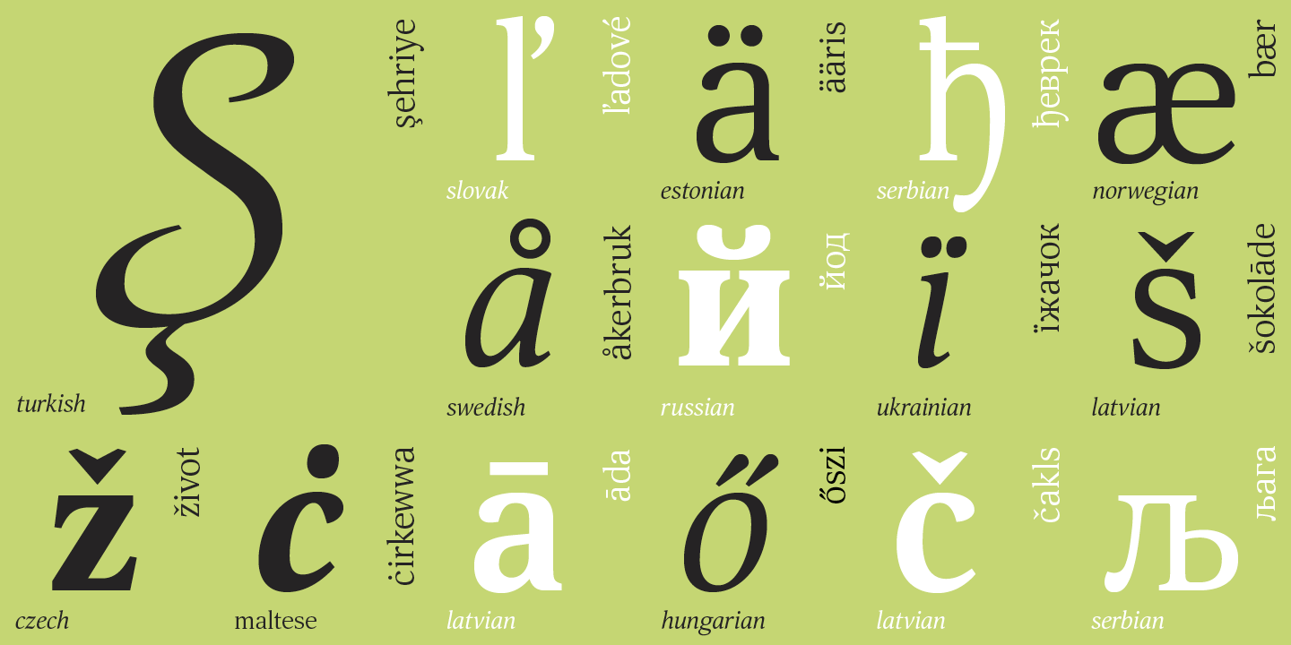 Paratype