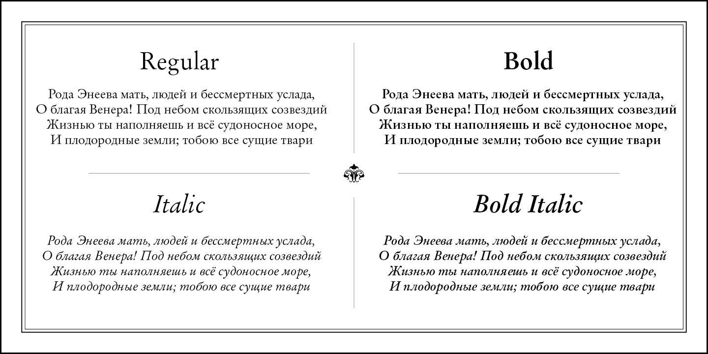 Paratype