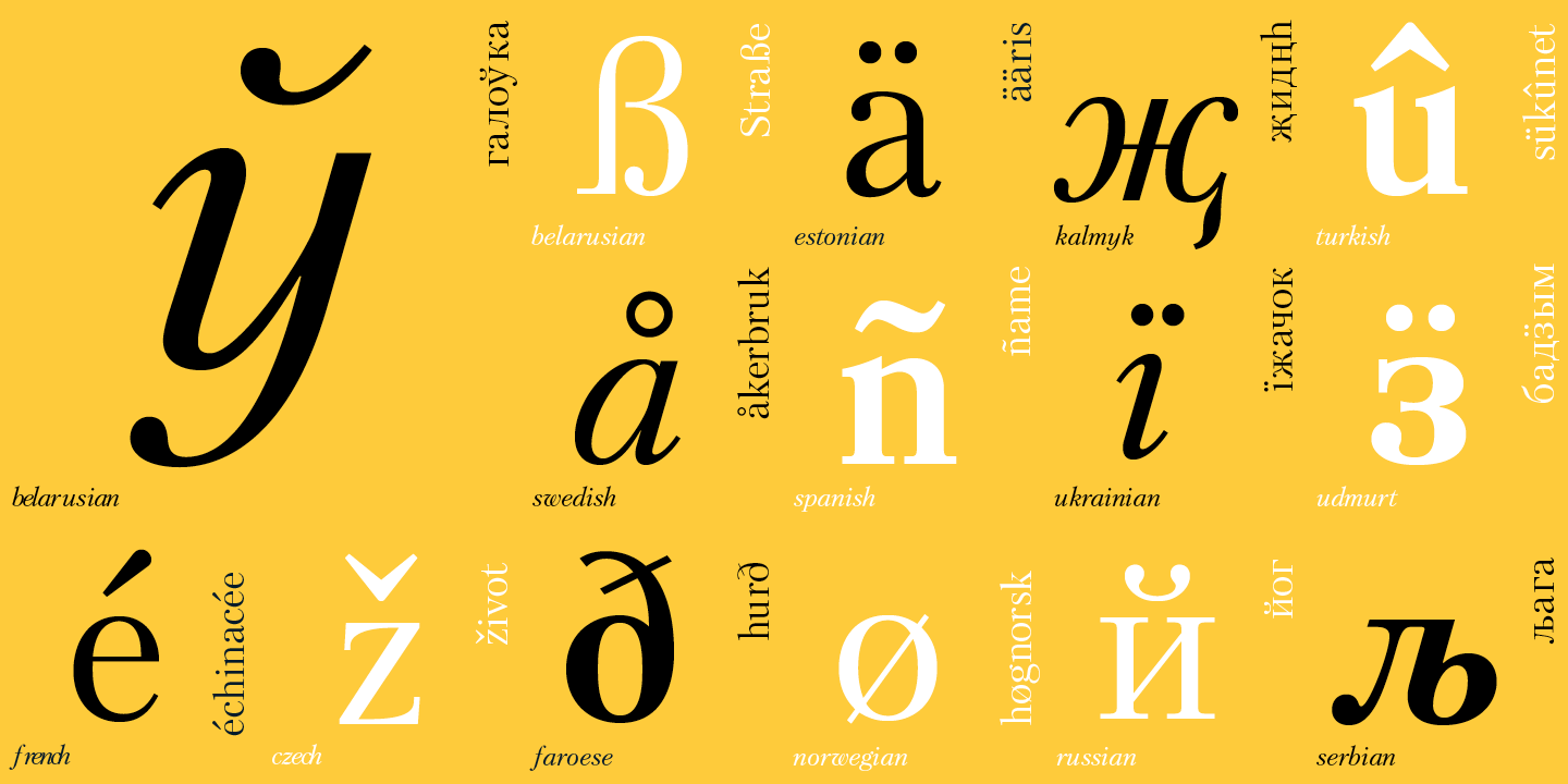 Paratype