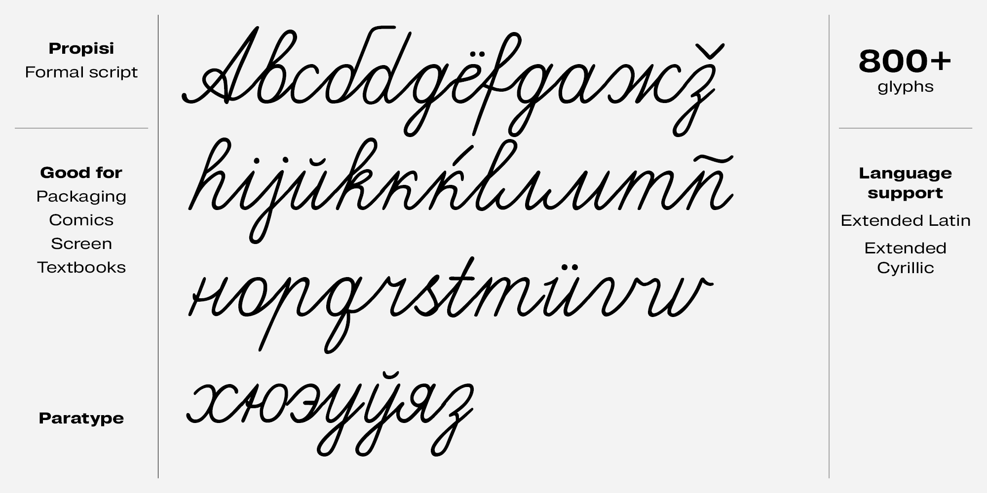 Paratype