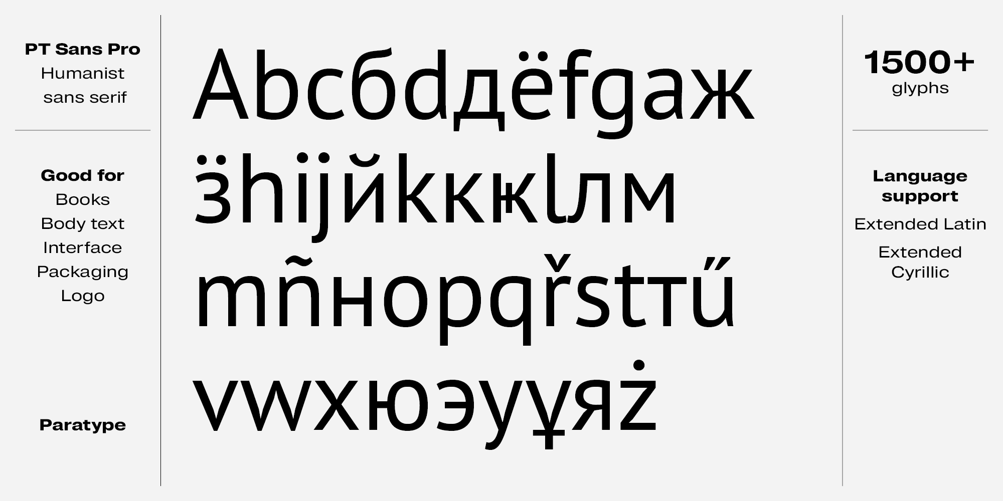 Paratype