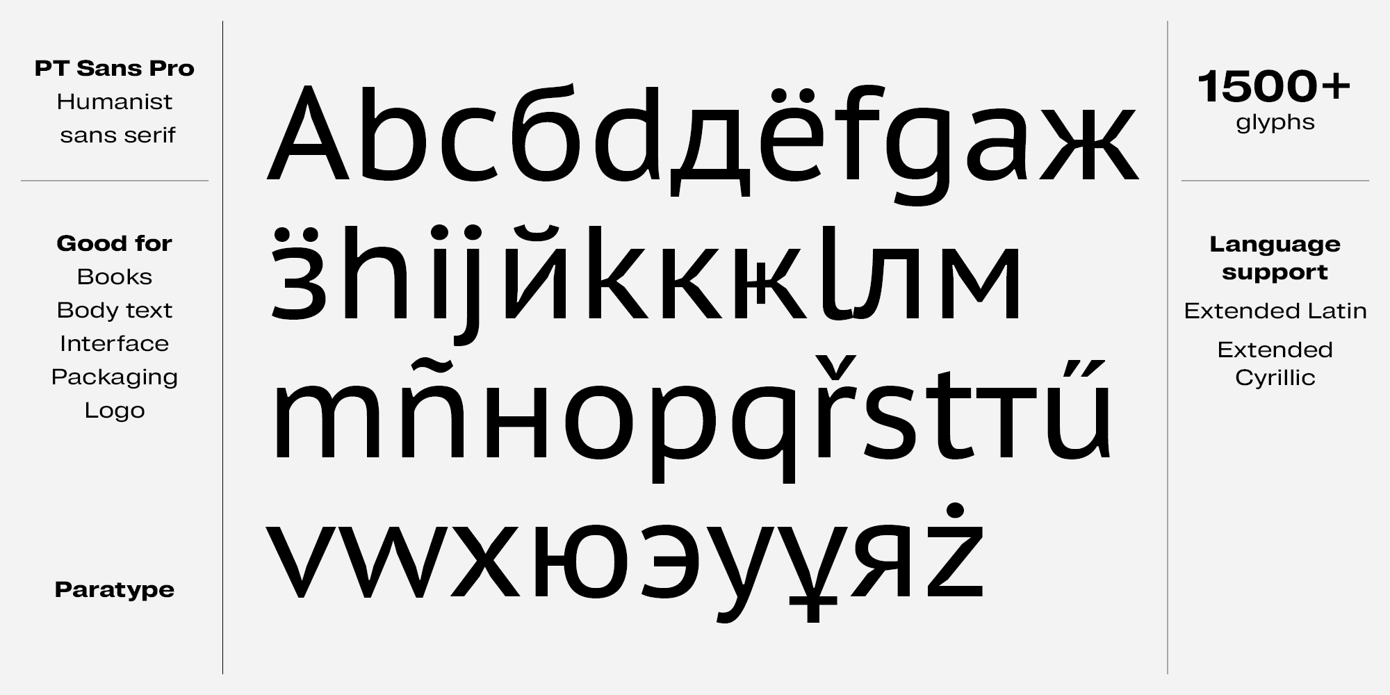 Paratype