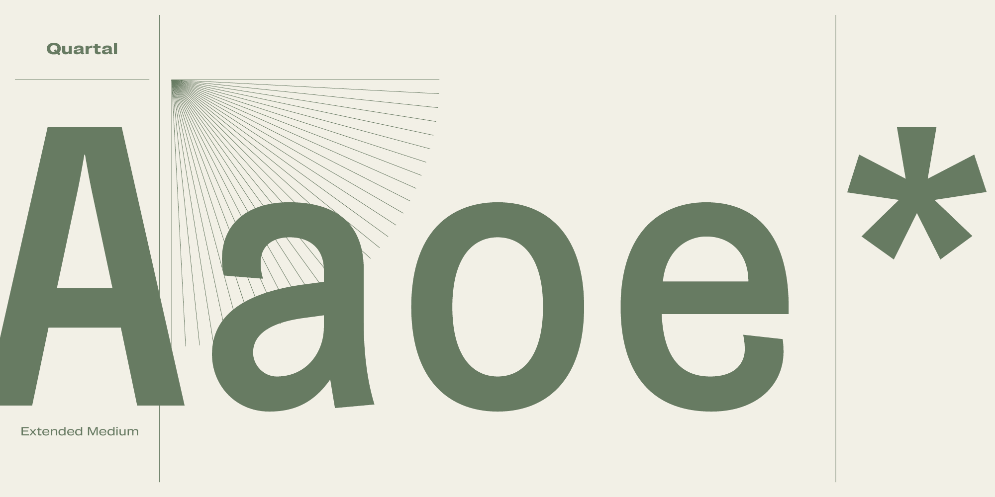 Paratype