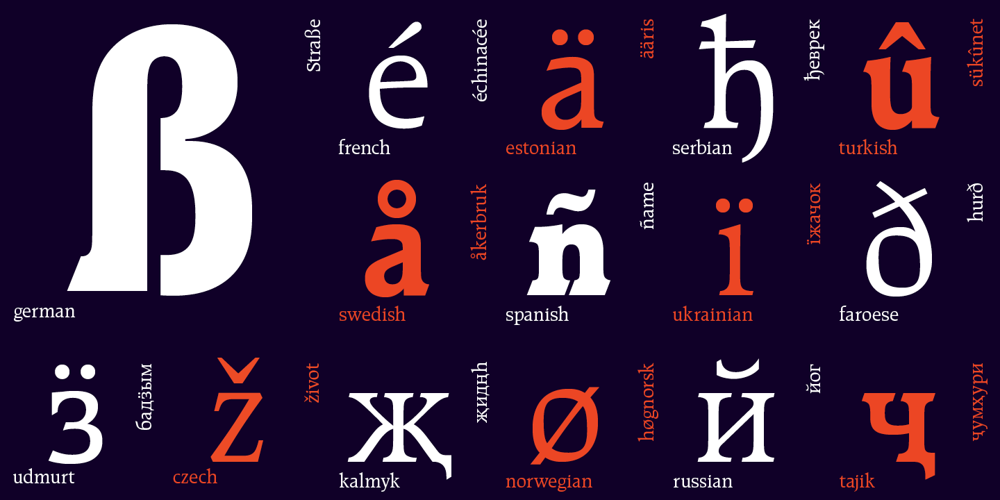 Paratype