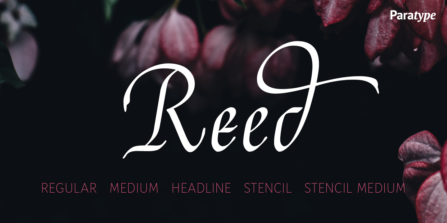 Reed