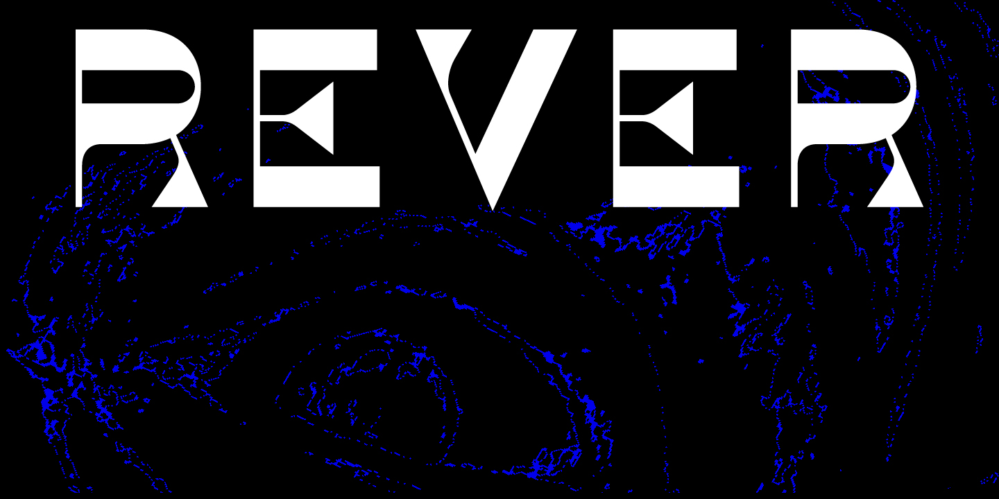 Paratype
