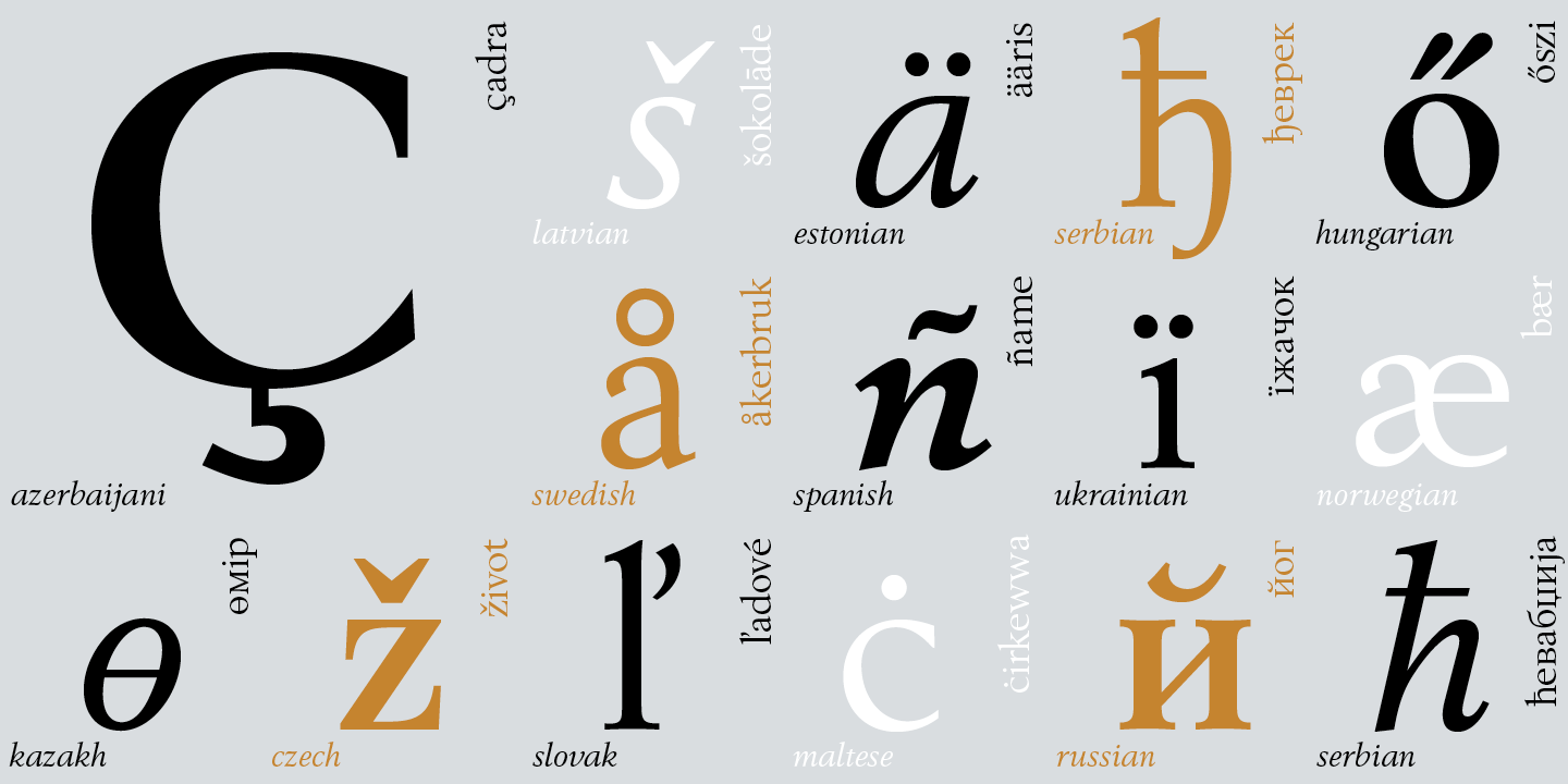 Paratype