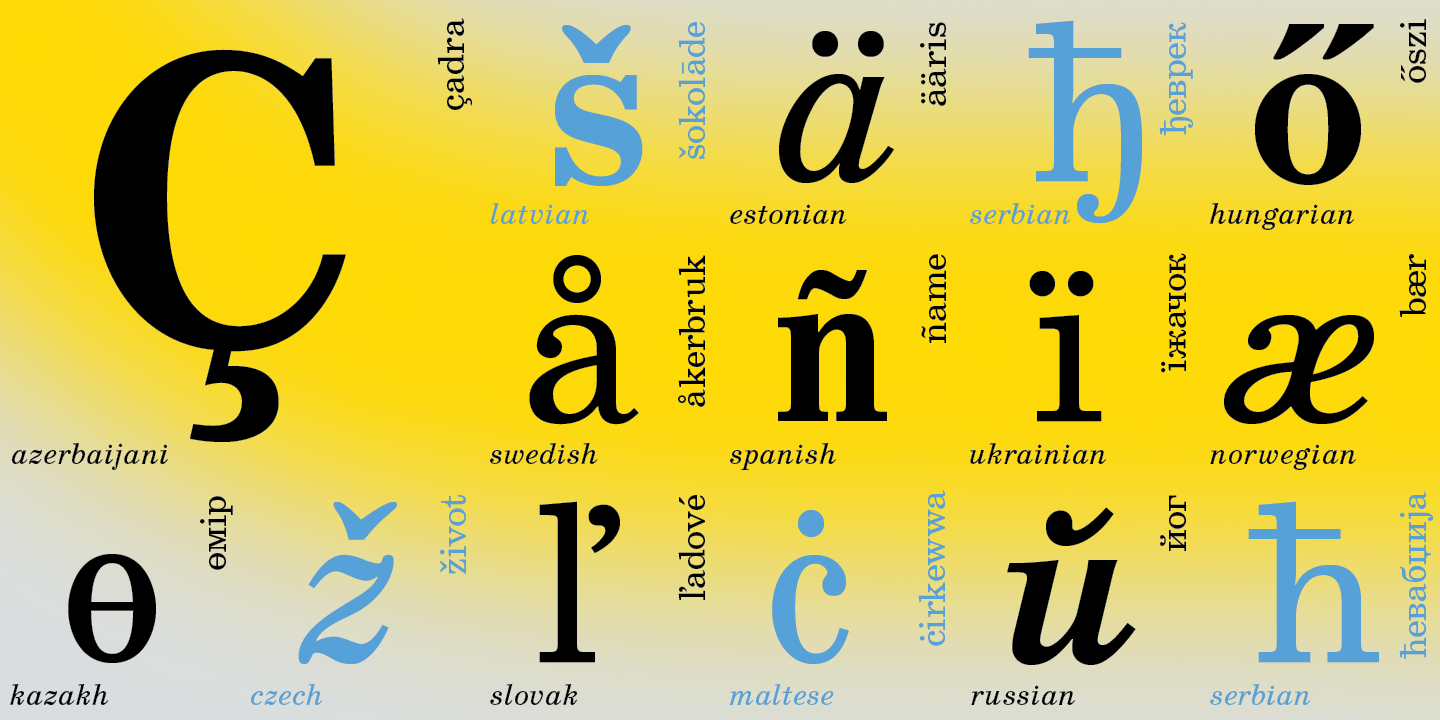 Paratype