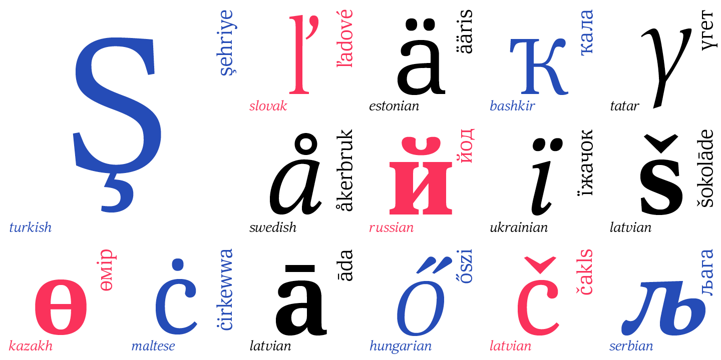 Paratype