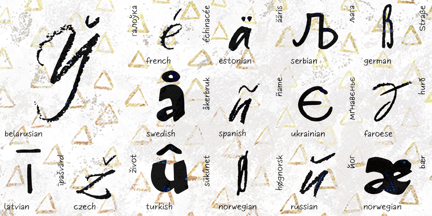 Paratype