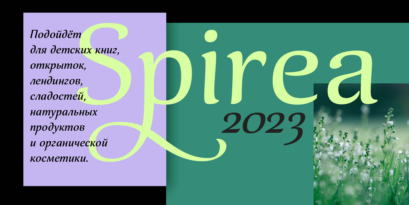 Paratype