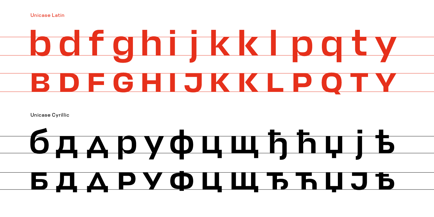 Paratype