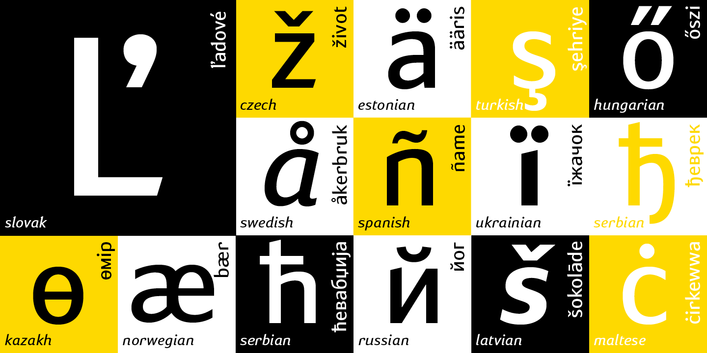 Paratype