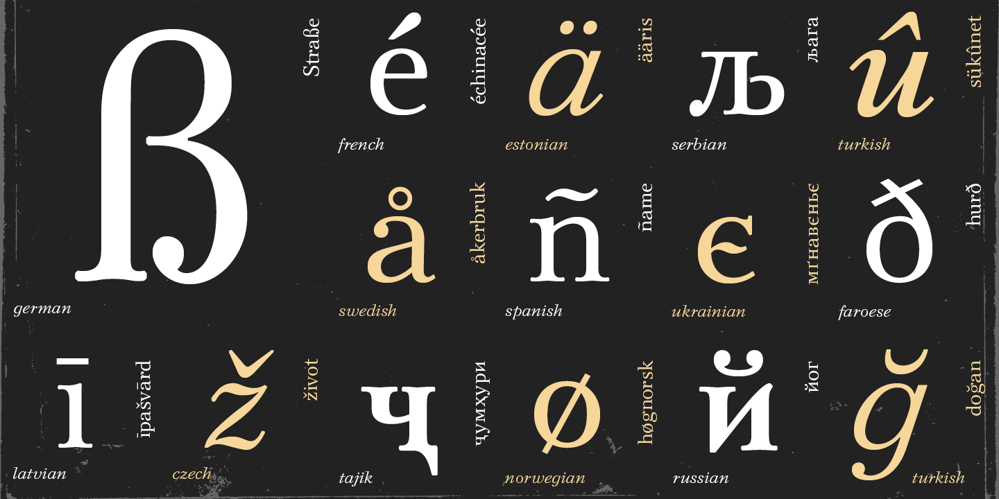 Paratype
