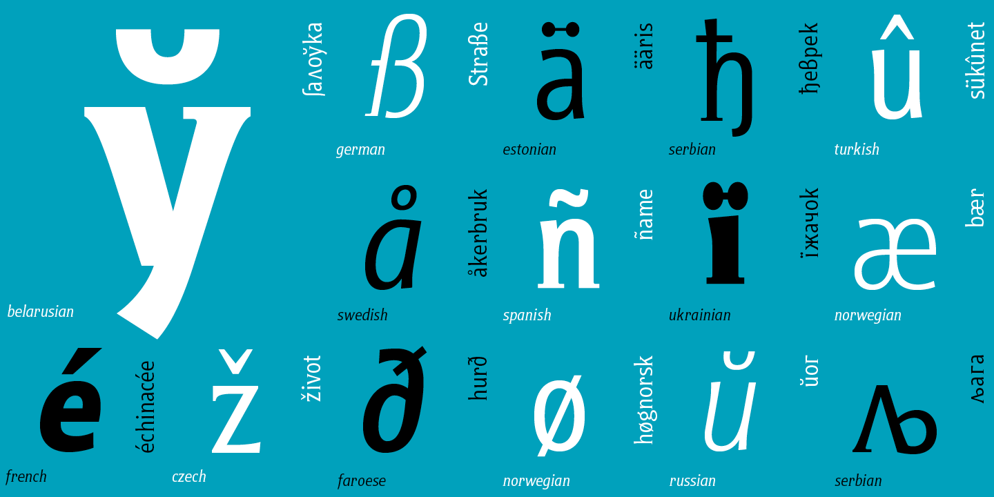 Paratype