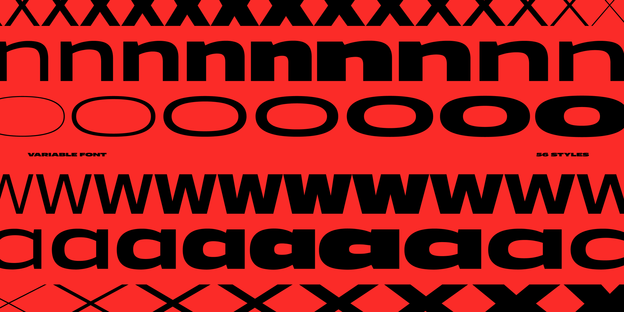 Paratype