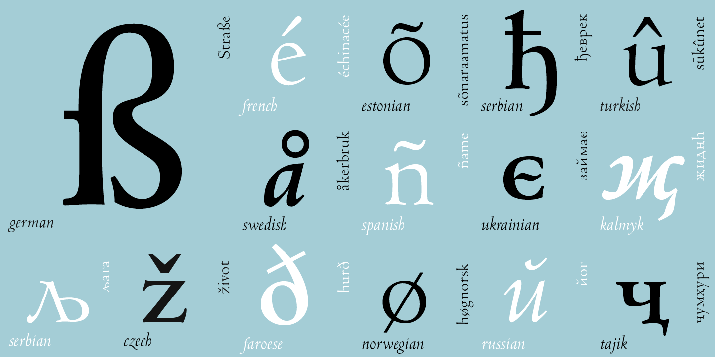 Paratype