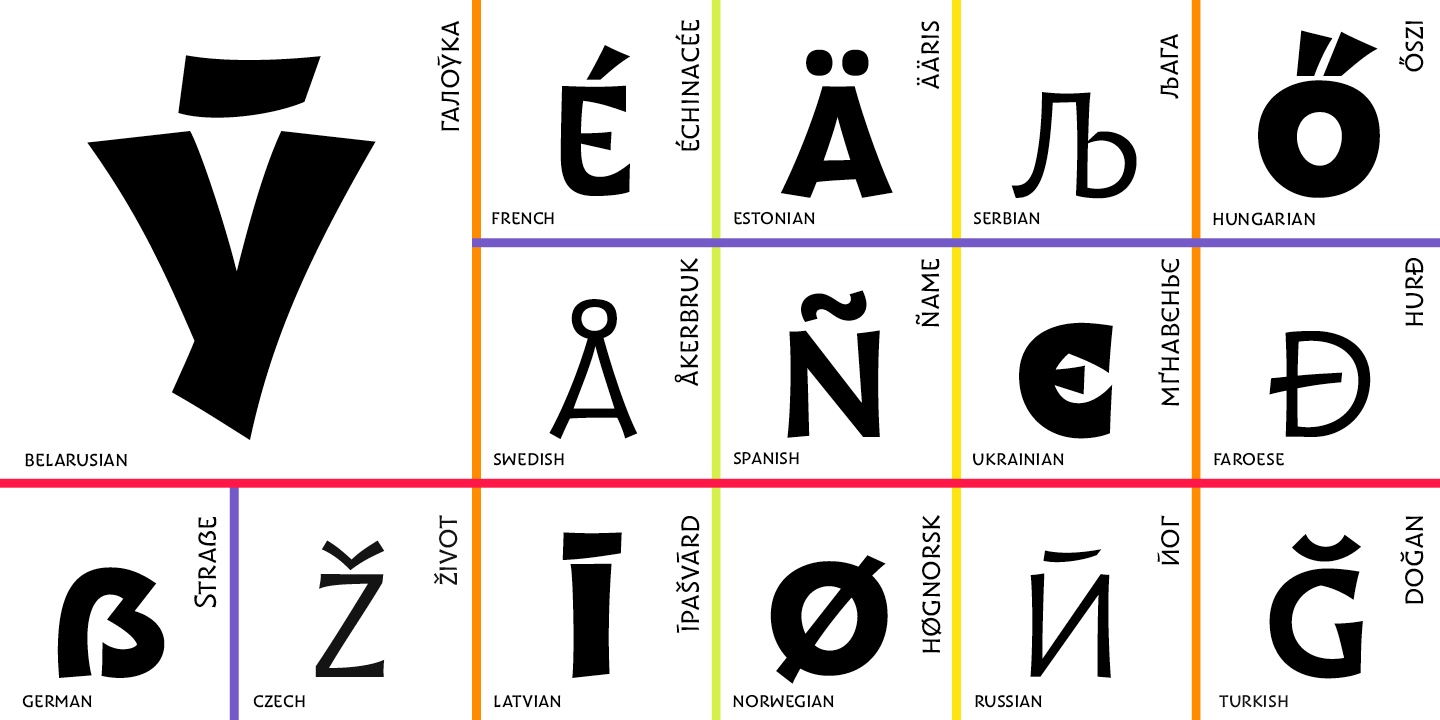 Paratype