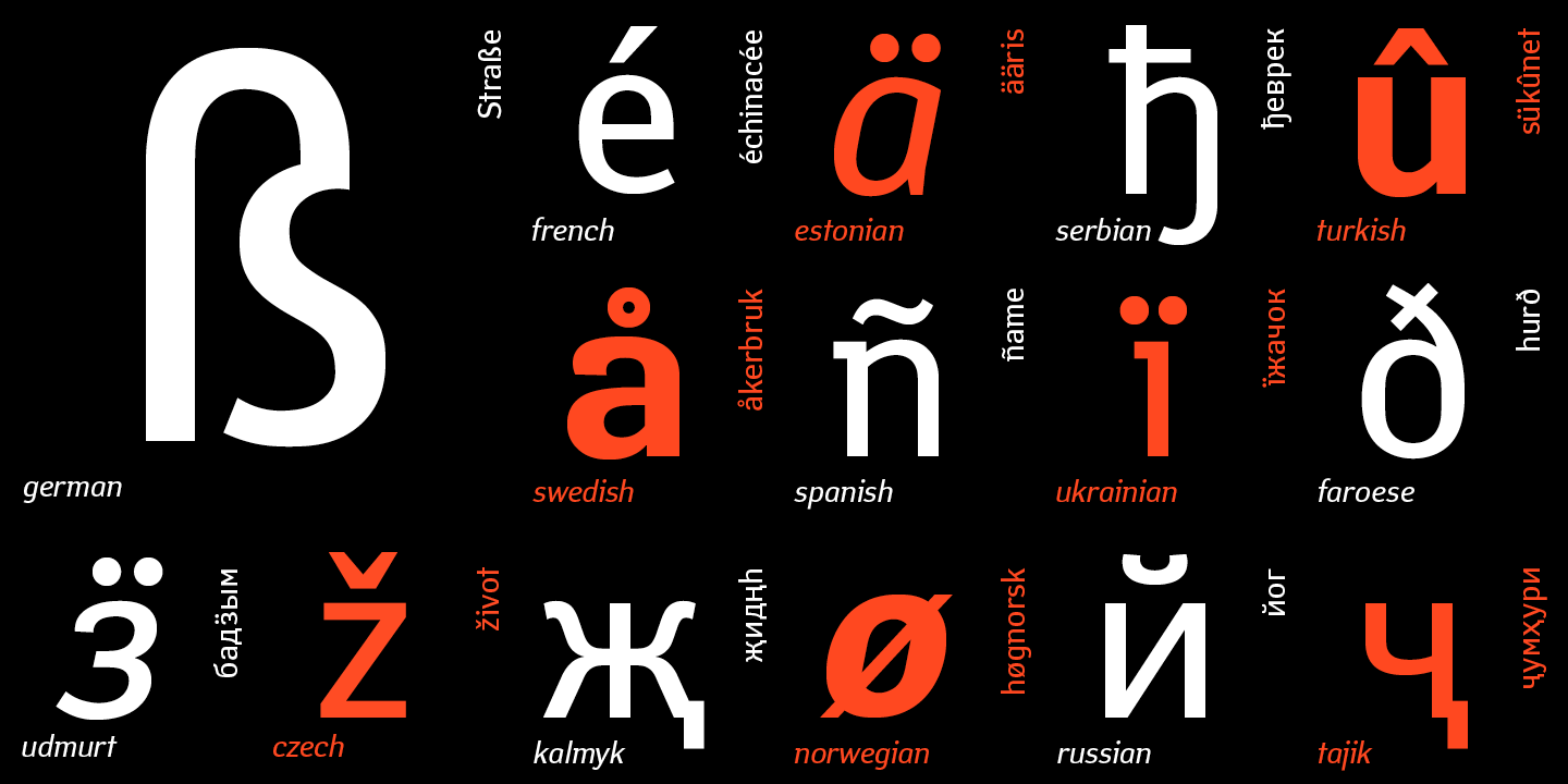 Paratype