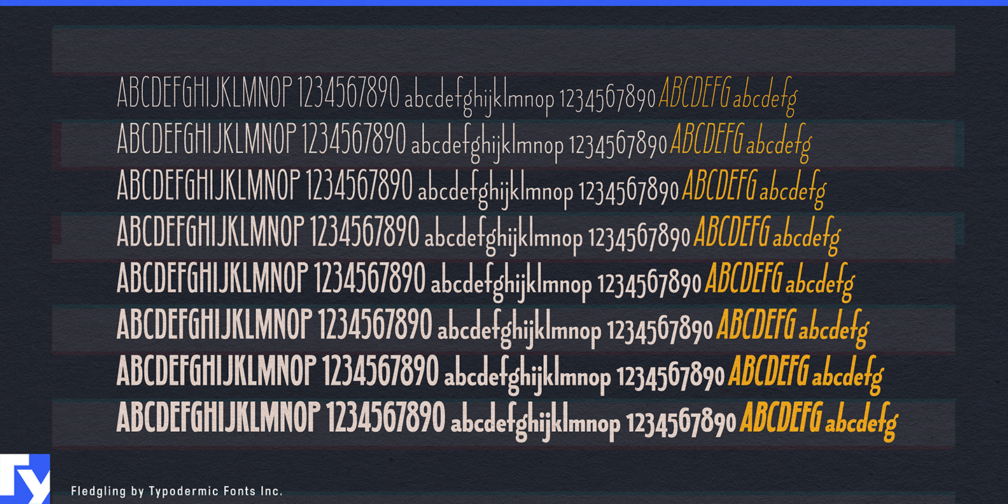 Typodermic