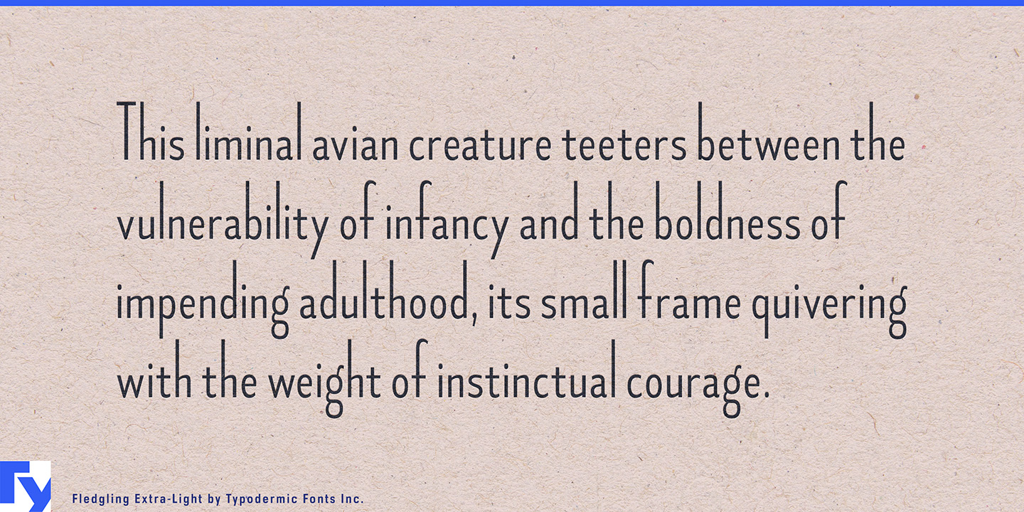 Typodermic