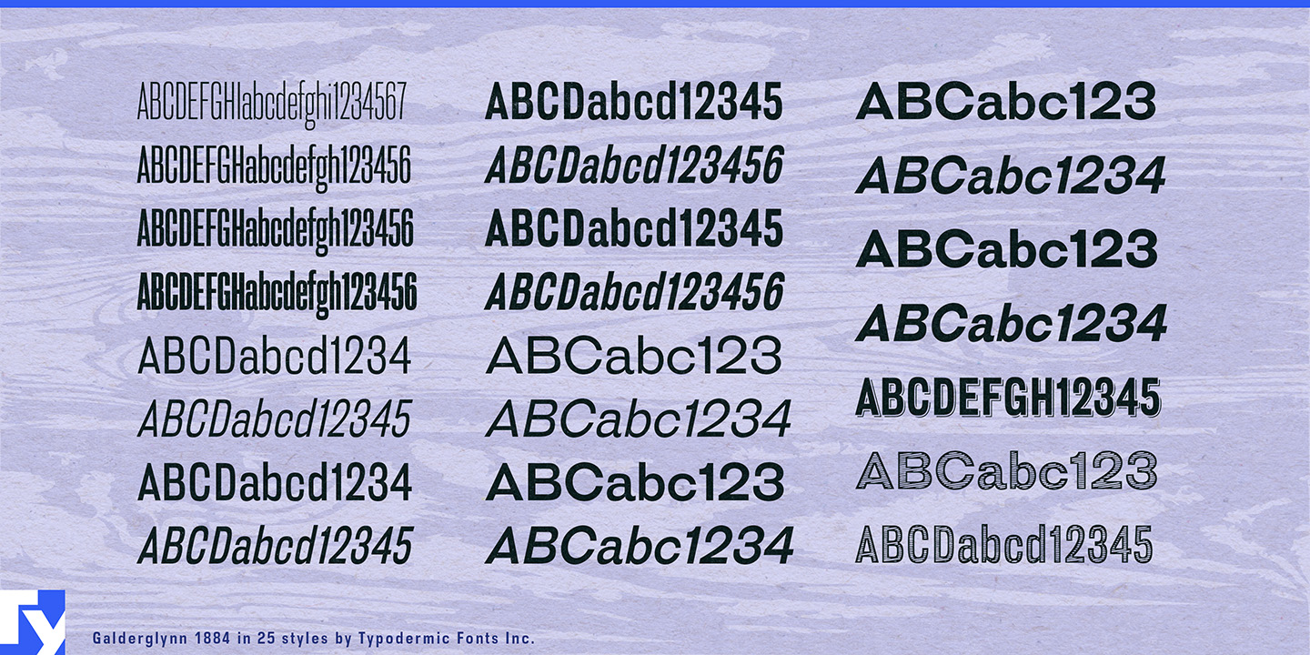 Typodermic
