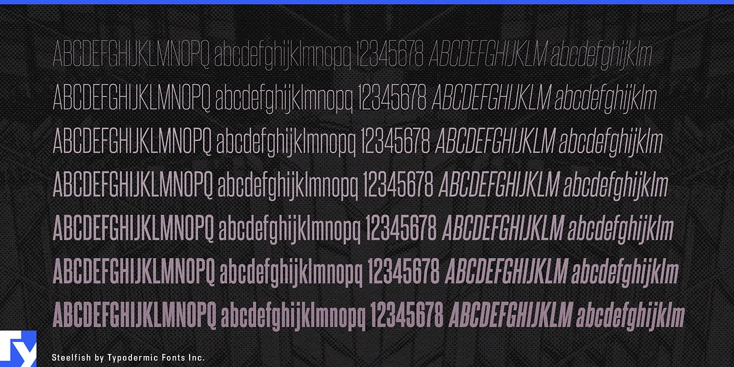 Typodermic