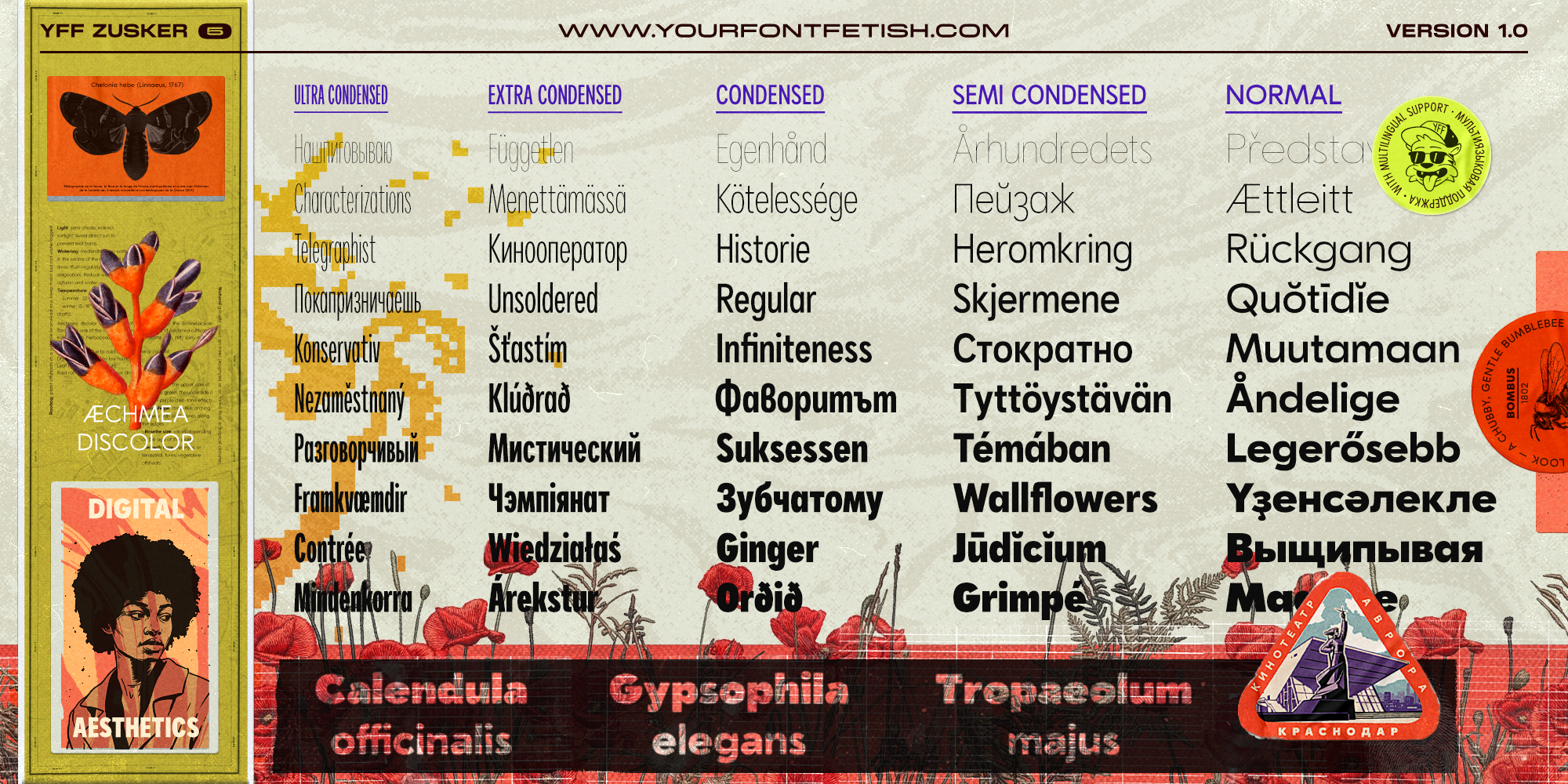 Your Font Fetish